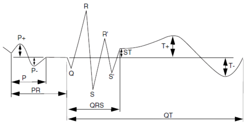 Cardisio